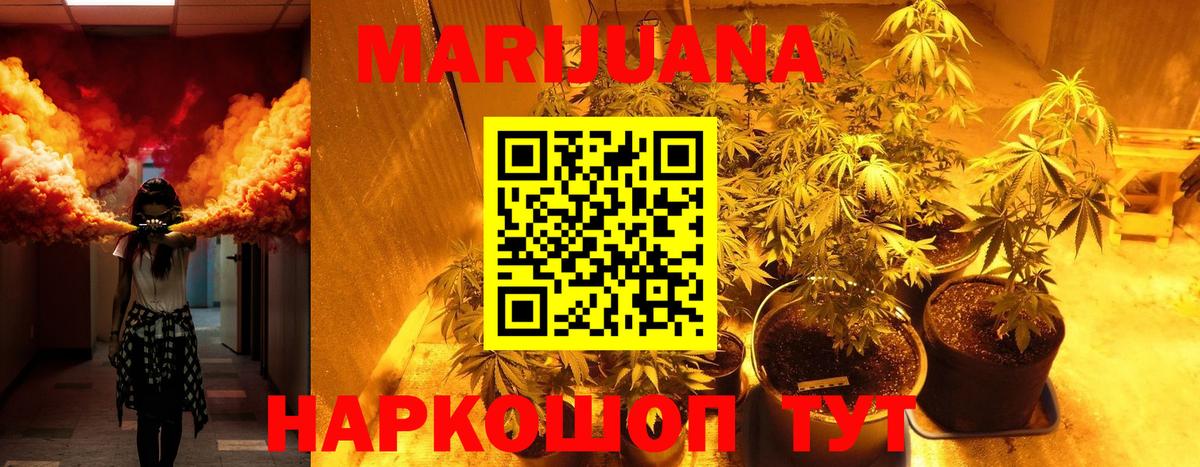 Канабис семена Белореченск